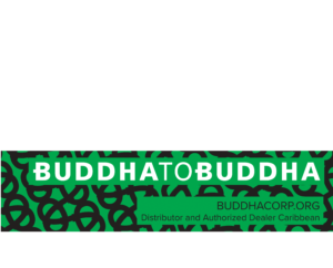 logo budhatobudhav4-01